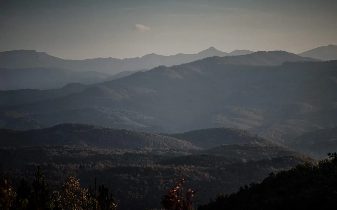 Cuando algo te duele: lo que tu reacción dice sobre ti.