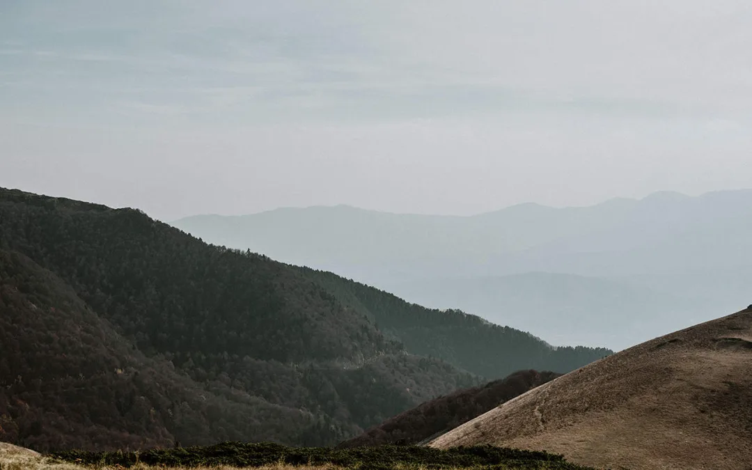 Los Adultos ni son Niños, ni Actúan como Niños